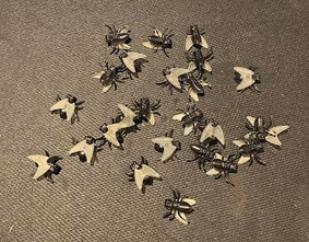 Flies w/Clear Wings - 24 pcs.