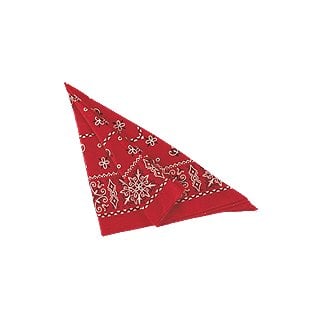Paisley Bandana - Choose Color
