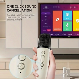 Mini Portable Karaoke