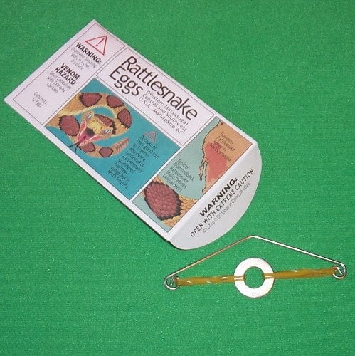 Rattlesnake Eggs, Colorful Envelope by Loftus International