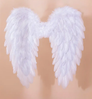 Feather Wings 22 inches - White