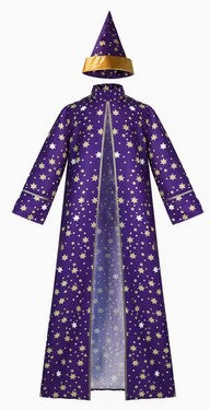 Purple and Gold Wizard - Adult XXL