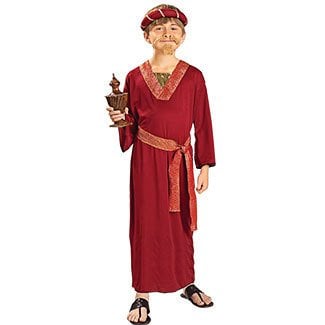 Biblical Wiseman