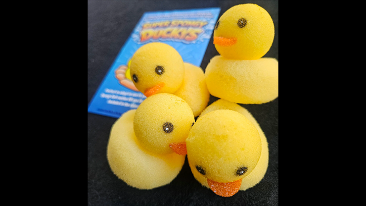 Super Spongy Duckies - Set Of 4 by Dan Sperry
