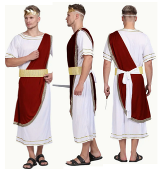 Rome Toga  Costume - Adult Standard