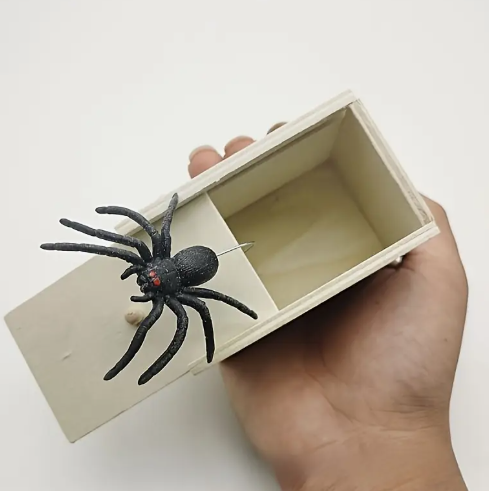 Spider Box Prank