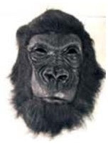 Gorilla Mask