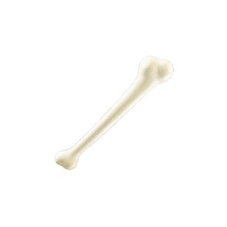 Jumbo Bone (C12)
