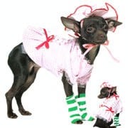 Country Pup Pet Costume Sml